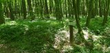 Przedsmak wakacyjnych przygód, czyli wycieczka do „Wodnego Dołu”.